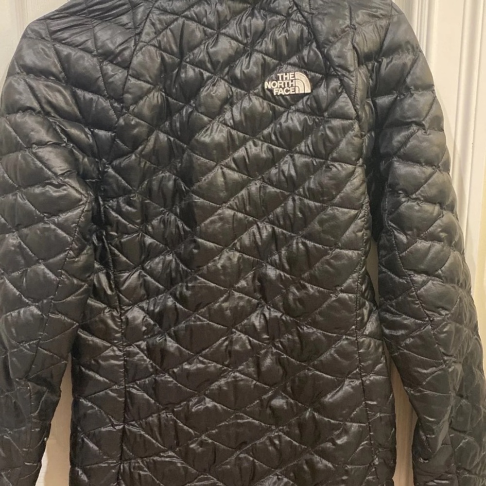 The north face Jacket